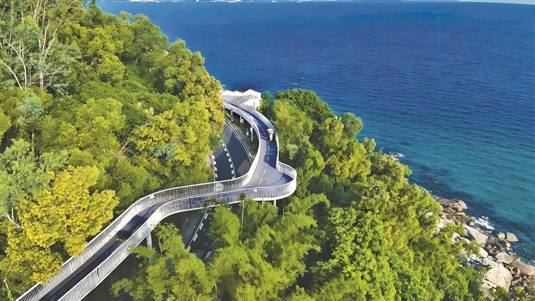 山海之間 藏着深圳人的溫柔守護