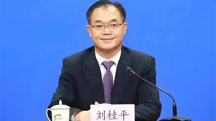 劉桂平任市監總局局長