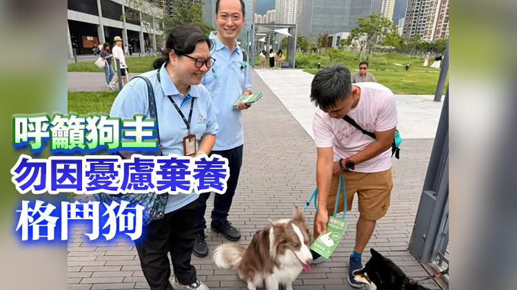 漁護署：鑑定狗隻由獸醫負責 目測狗隻身體特徵是國際沿用方式