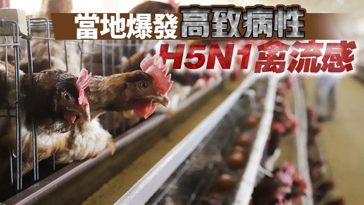法國曼恩─盧瓦爾省爆H5N1禽流感 本港暫停進口禽肉及禽類產品