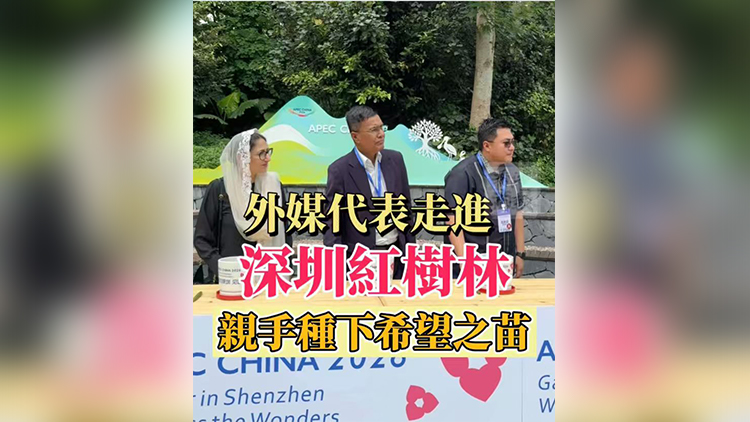 有片 | 外媒代表走進深圳紅樹林 親手種下希望之苗