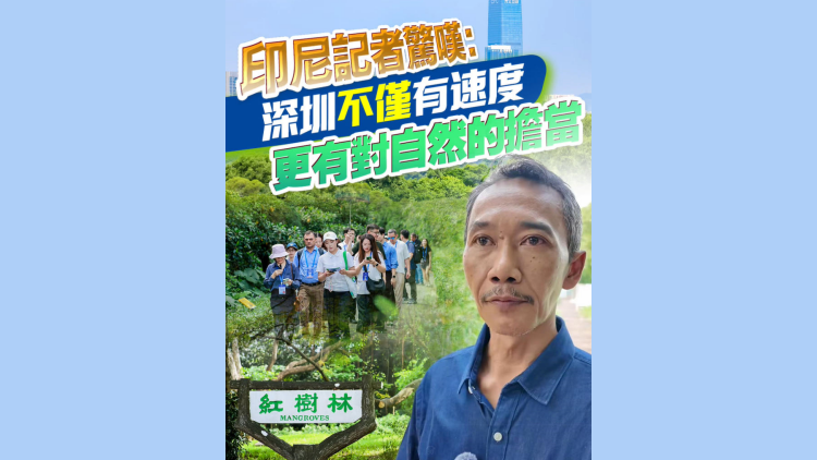 有片丨印尼記者驚嘆：深圳不僅有速度，更有對自然的擔當