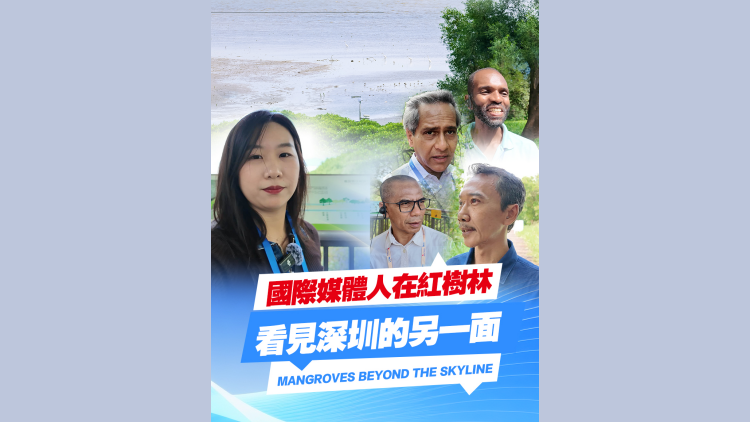 有片丨國際媒體人在紅樹林看見深圳的另一面