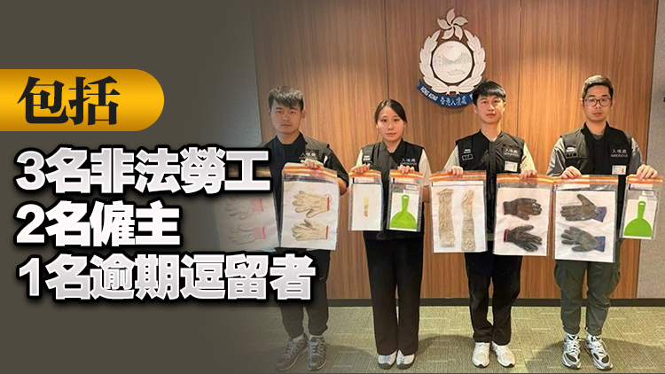 跨部門全港打擊黑工 搜查餐廳按摩店等 拘捕16人