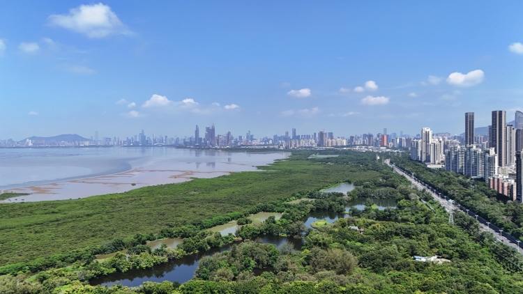 從紅樹林保護到「共生之城」：深圳城市指數為全球城市治理探索「中國方案」