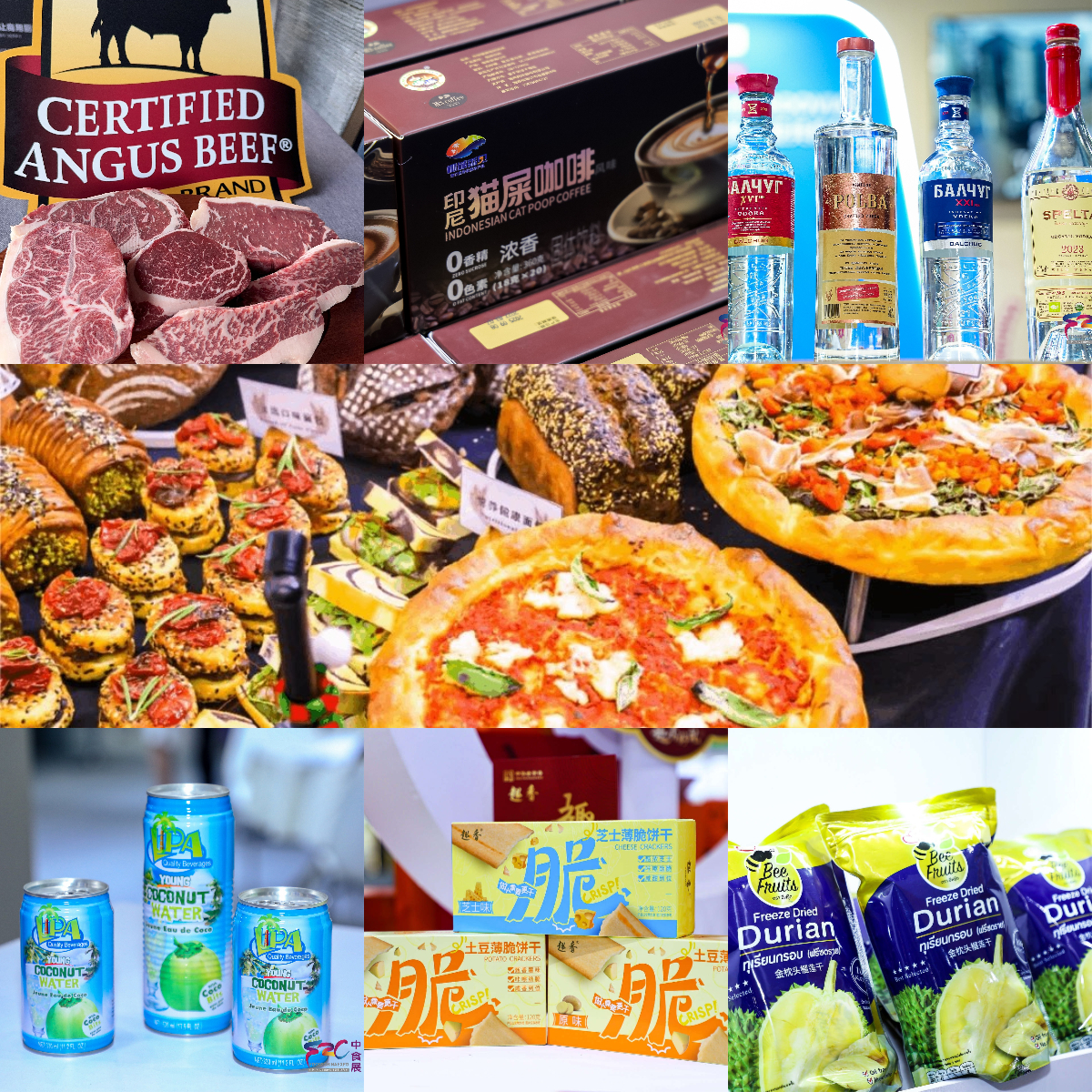  海內外展團齊赴盛會  F2C中食展(廣州)9月10日啟幕