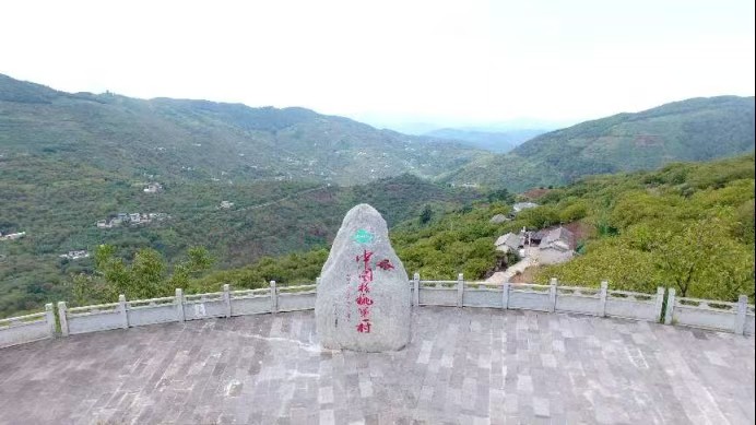 一顆核桃的增值之路：看雲南永平如何做深富民產業