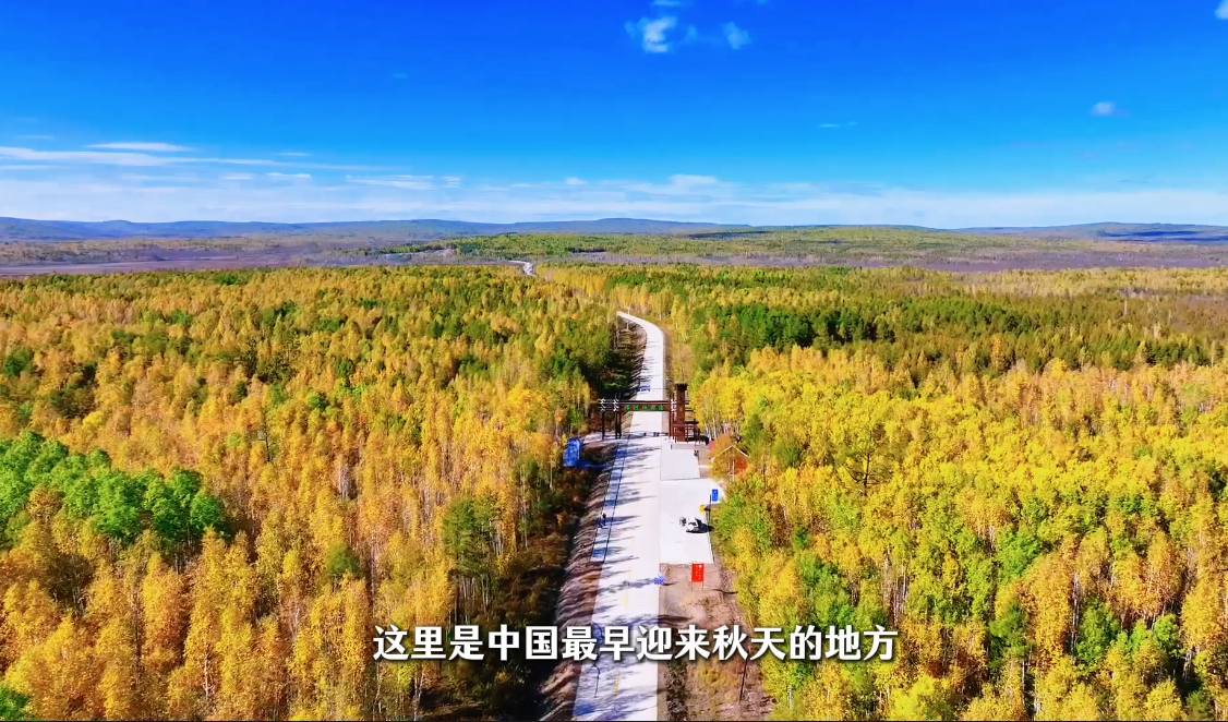 有片｜層林盡染入畫來 大興安嶺塔河五花山觀賞攻略請查收