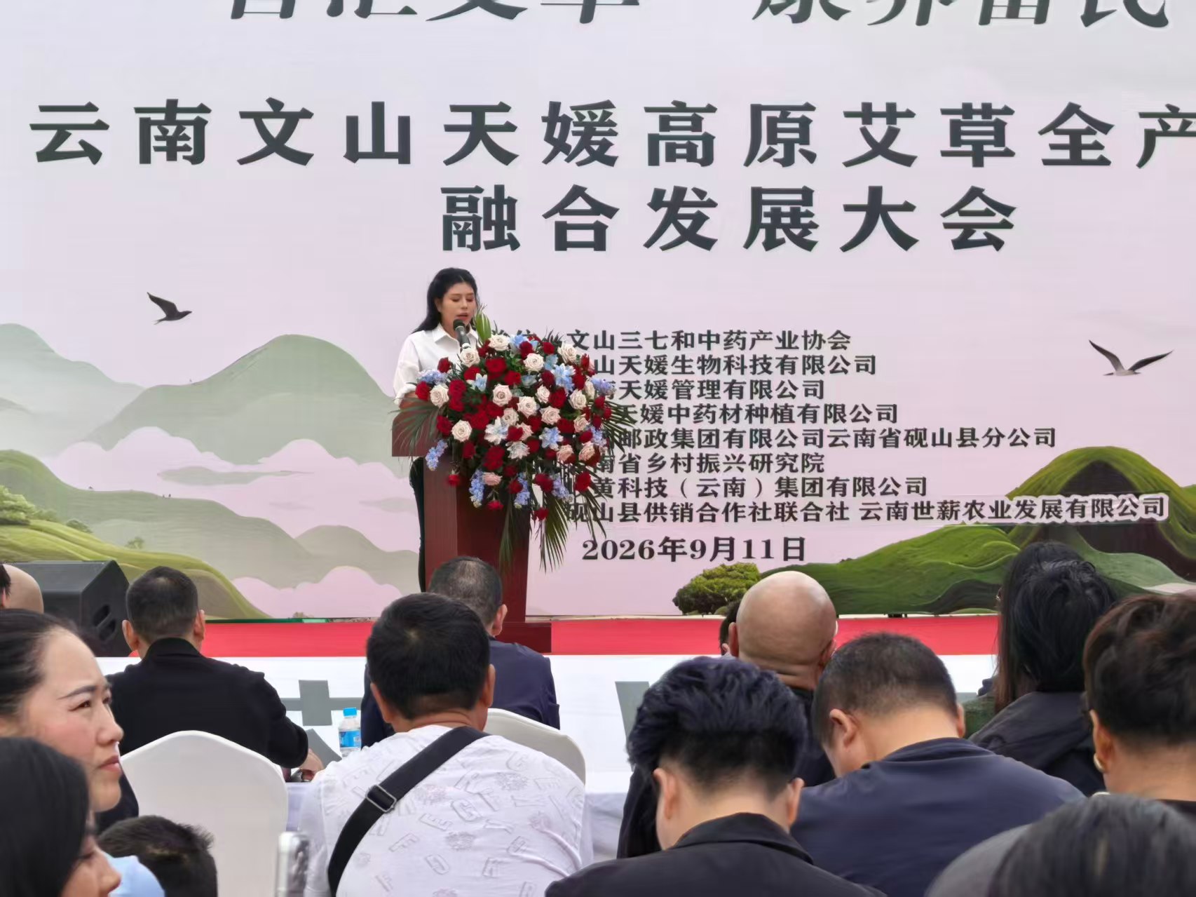 和和美美幸福文山｜艾香鋪就振興路 供銷賦能興產業——硯山縣供銷社全力扶持天媛艾草產業發展