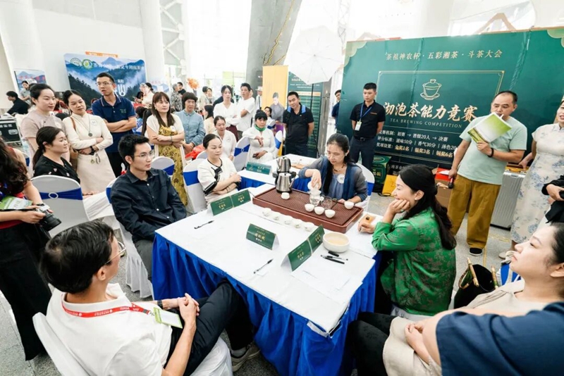 三大賽道同台競技！茶祖神農杯·五彩湘茶鬥茶大會火熱開賽