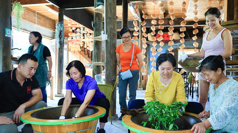皖祁門縣：港客沉浸式體驗蘆溪安茶非遺技藝