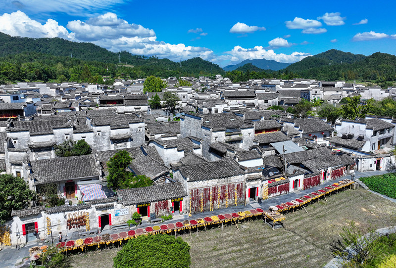 一宅一非遺 一步一徽州  在黟縣西遞「住進徽州生活」