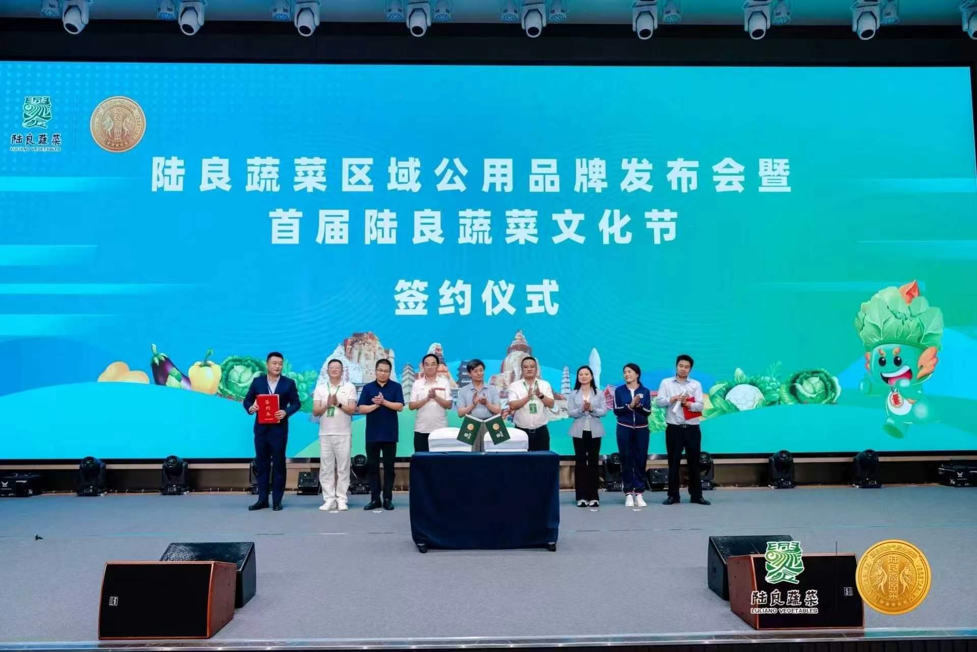 雲南陸良蔬菜：智慧冷鏈重塑「南菜北運」新格局