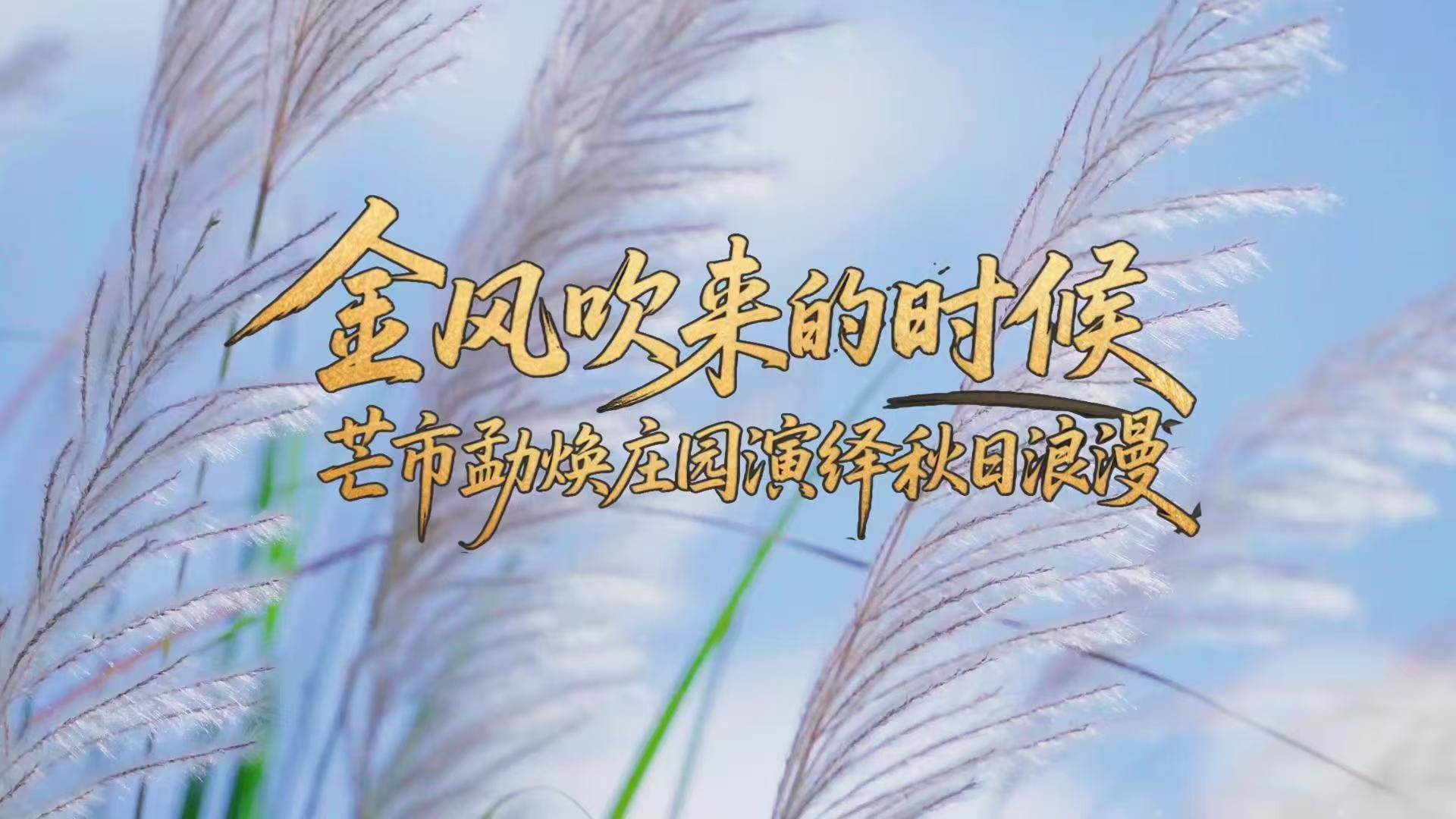 金風吹過勐煥，情定雲南金秋