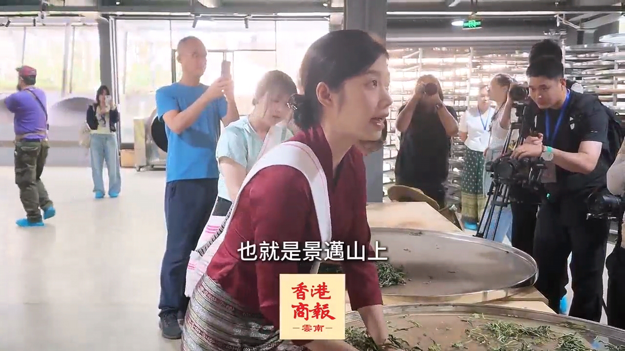 何以中國·千年茶道｜景邁山布朗公主茶廠讓非遺制茶「活」起來