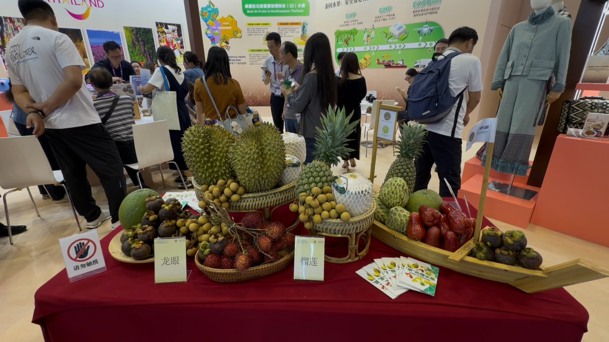 有片｜直擊東博會開幕首日 東盟11國齊聚南寧解鎖合作新篇