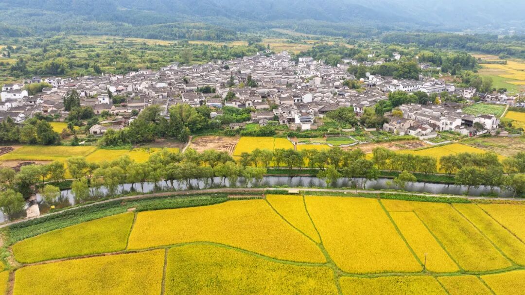 文化生態融合助推文旅振興 皖黟縣摘得兩項「國字號」榮譽