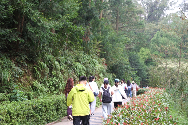 近郊「微度假」升溫  星沙文旅煥發新活力