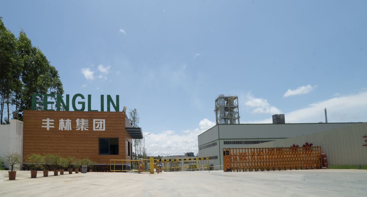商界力量|綠色林產乘風啟航 構建中國—東盟可持續產業新生態——專訪豐林集團董事長劉念