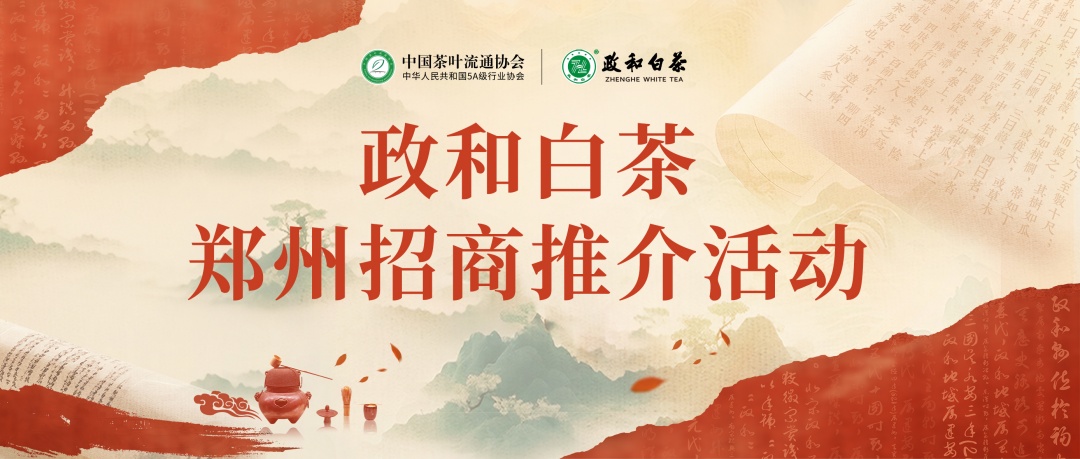 政和白茶鄭州「拓市」 五大茶企發布中原招商政策
