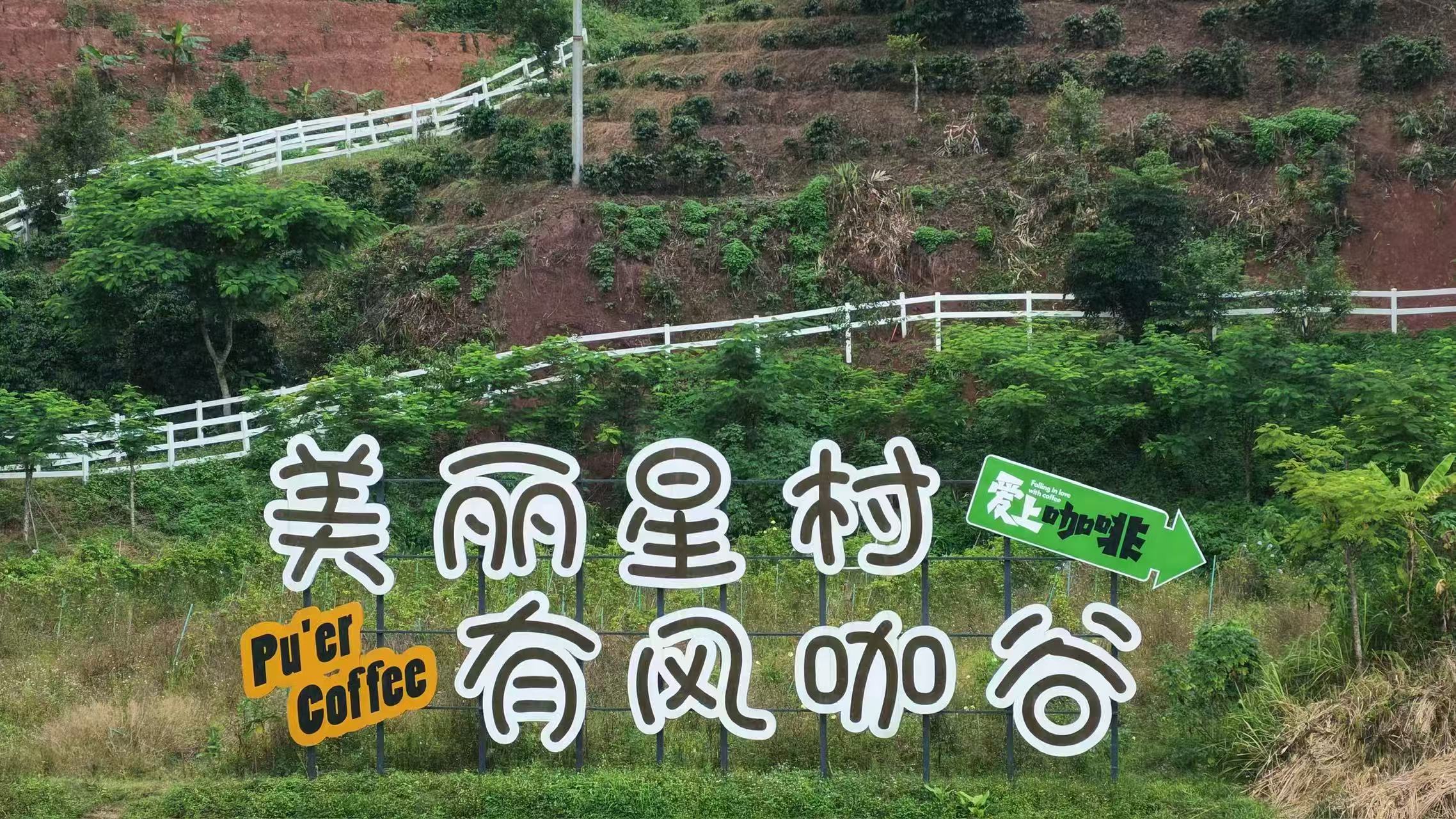 何以中國·千年茶道｜普洱思茅 從咖啡原產地到咖旅融合新高地