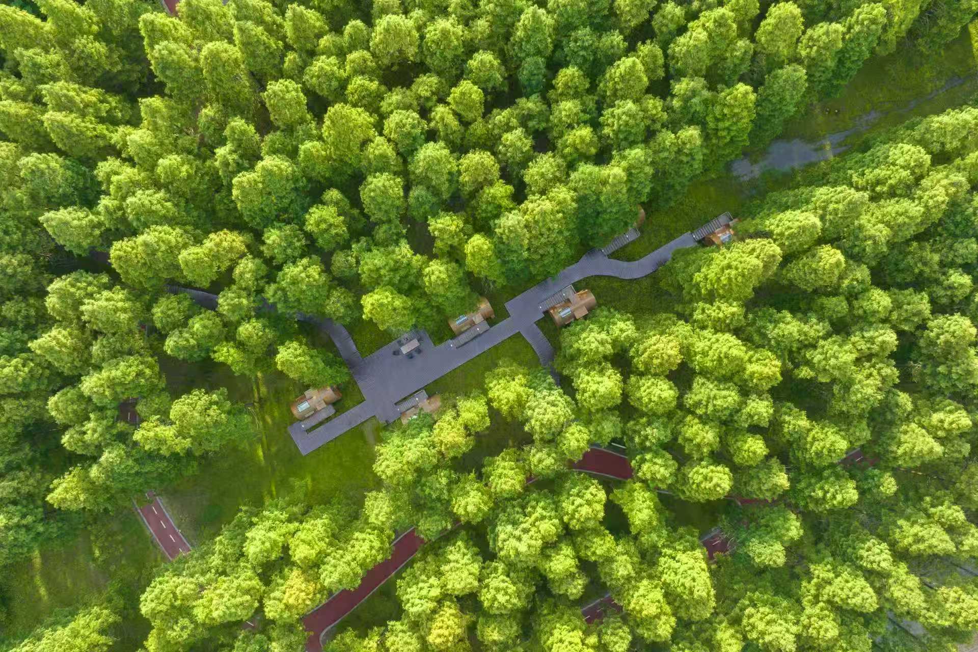 護山海生靈 美麗江蘇綻新貌