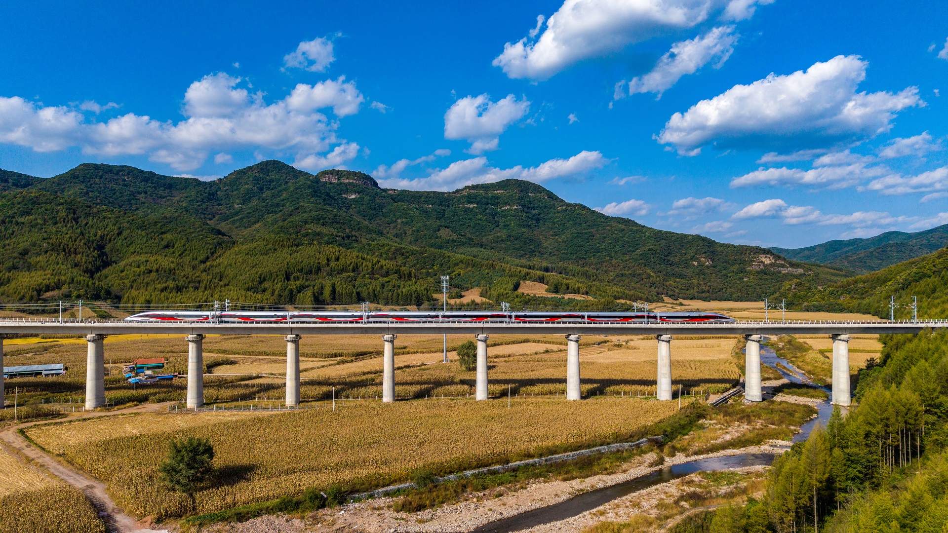 銀龍越林海 黑土啟新篇 沈佳高鐵沈白段開通運營一周年賦能東北振興
