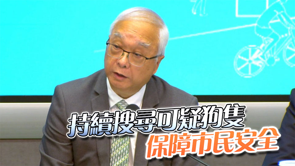 元朗狗咬人事件丨謝展寰：檢視管理流浪狗隻以減少風險
