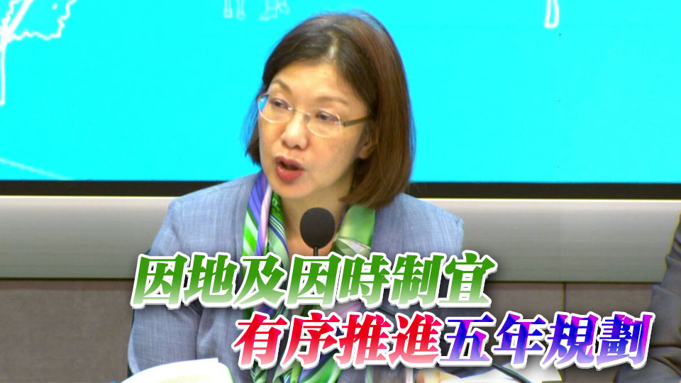 謝小華：五年規劃非計劃經濟 政府會引導市場