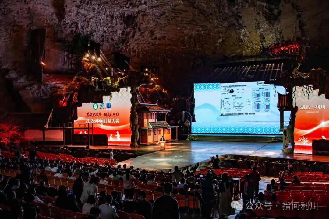 以茶為媒謀發展 2026 中國紅茶大會相聚利川共話產業振興