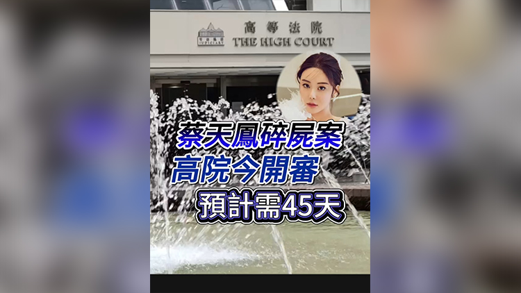 有片丨蔡天鳳碎屍案 高院今開審 預計需45天