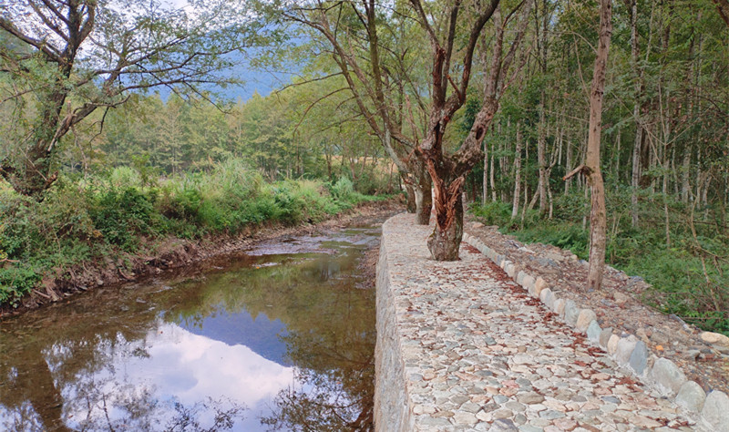皖黟縣宏潭：岸穩良田護 河清景致興