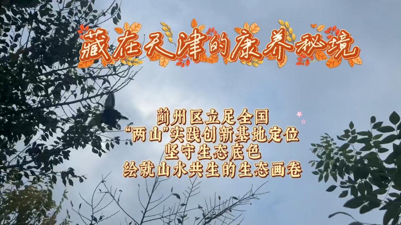 有片｜藏在天津的康養秘境