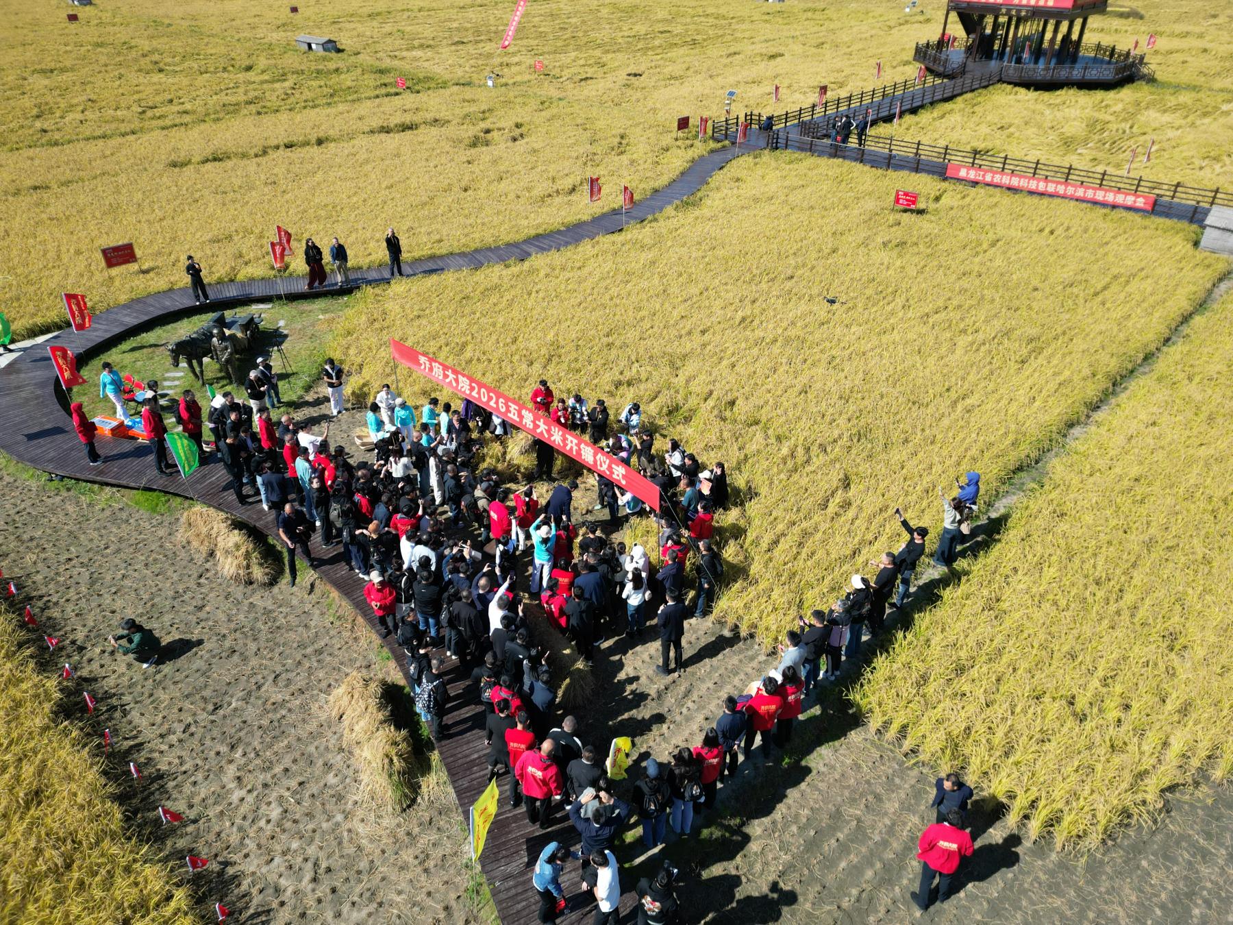 有片｜喬府大院第十一屆開鐮節系列活動盛大啟幕 科技賦能五常稻米產業