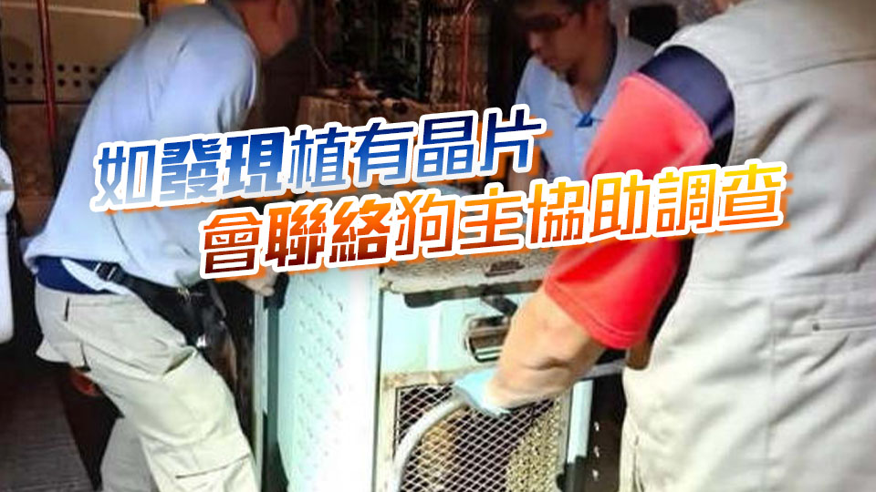 漁護署警方聯合行動 再捕捉兩隻無人看管唐狗扣留觀察