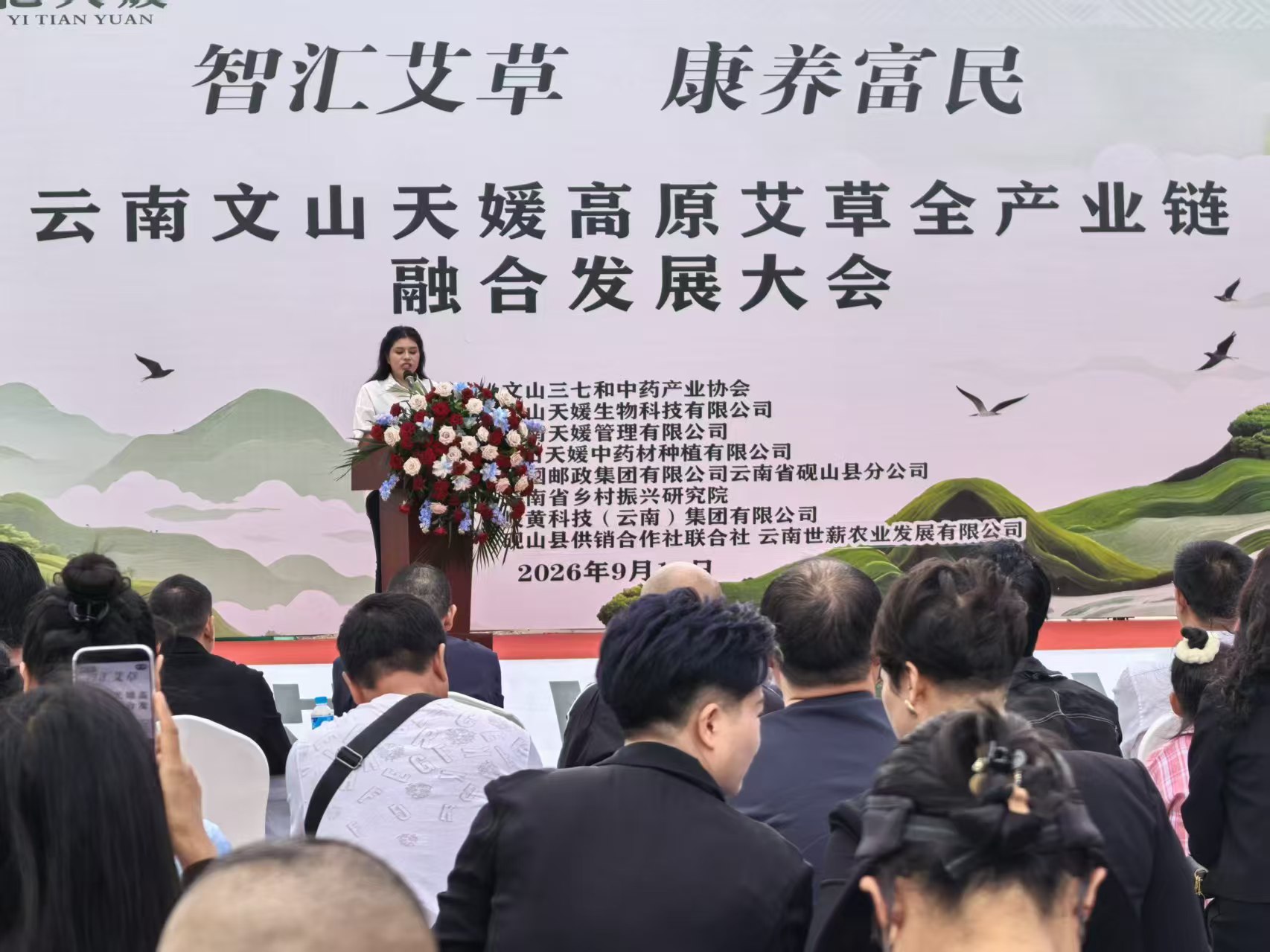 雲南硯山：歸雁創業興艾草 全鏈鋪就共富路