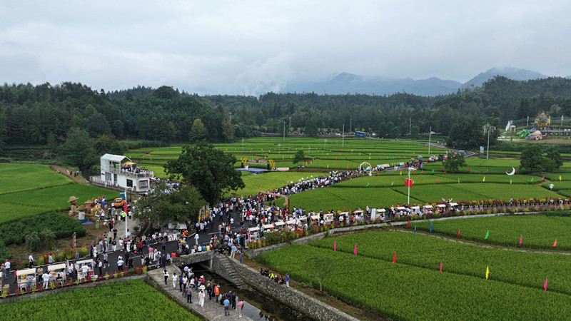 「祁珍異草」道豐年  2026年中國農民豐收節黃山市主會場活動在祁門舉辦