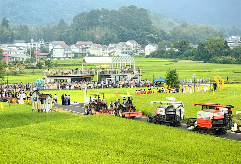 金秋安凌慶豐收  「祁門糧倉」繪錦繡