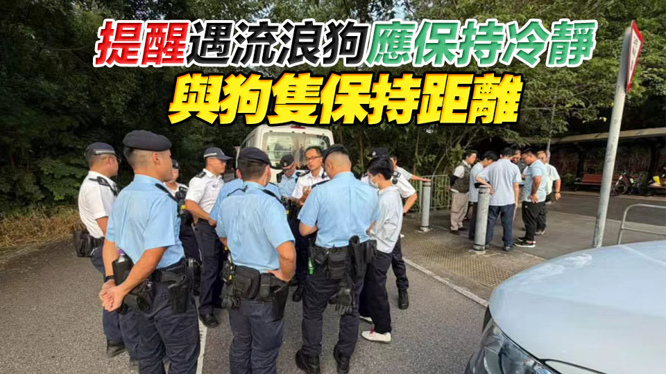 漁護署聯同警方元朗攸壆路一帶再度聯合行動 捕獲3隻無人看管唐狗