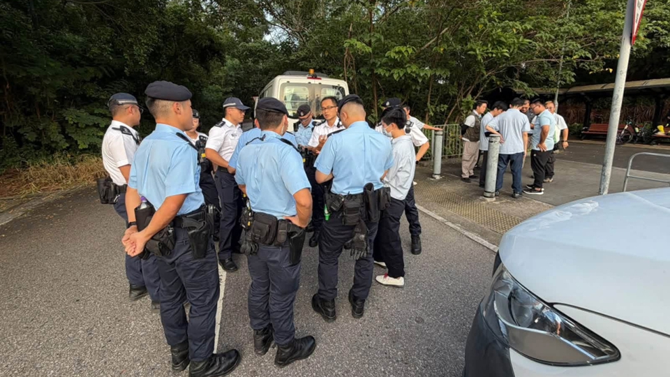 漁護署元朗捕捉8隻無人看管狗隻 一名職員被咬傷手