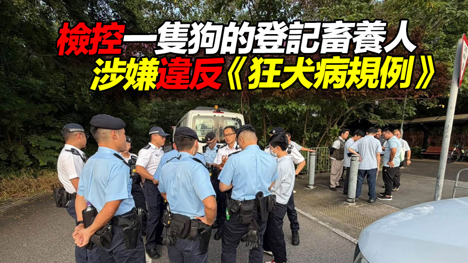 漁護署元朗捕捉8隻無人看管狗隻 一名職員被咬傷手