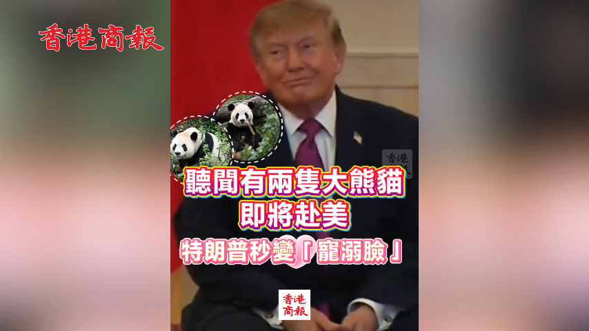 有片丨聽聞有兩隻大熊貓即將赴美 特朗普秒變「寵溺臉」