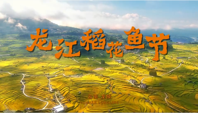 2026龍陵·龍江「第十屆」稻花魚節——山河為約，稻香為信，國慶龍江見!