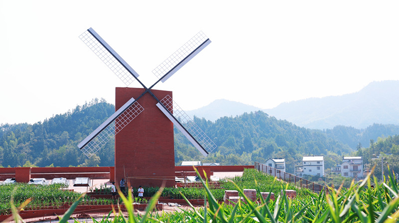 微醺五城・茶酒相宜  皖休寧縣將舉辦五城米酒茶干嘉年華
