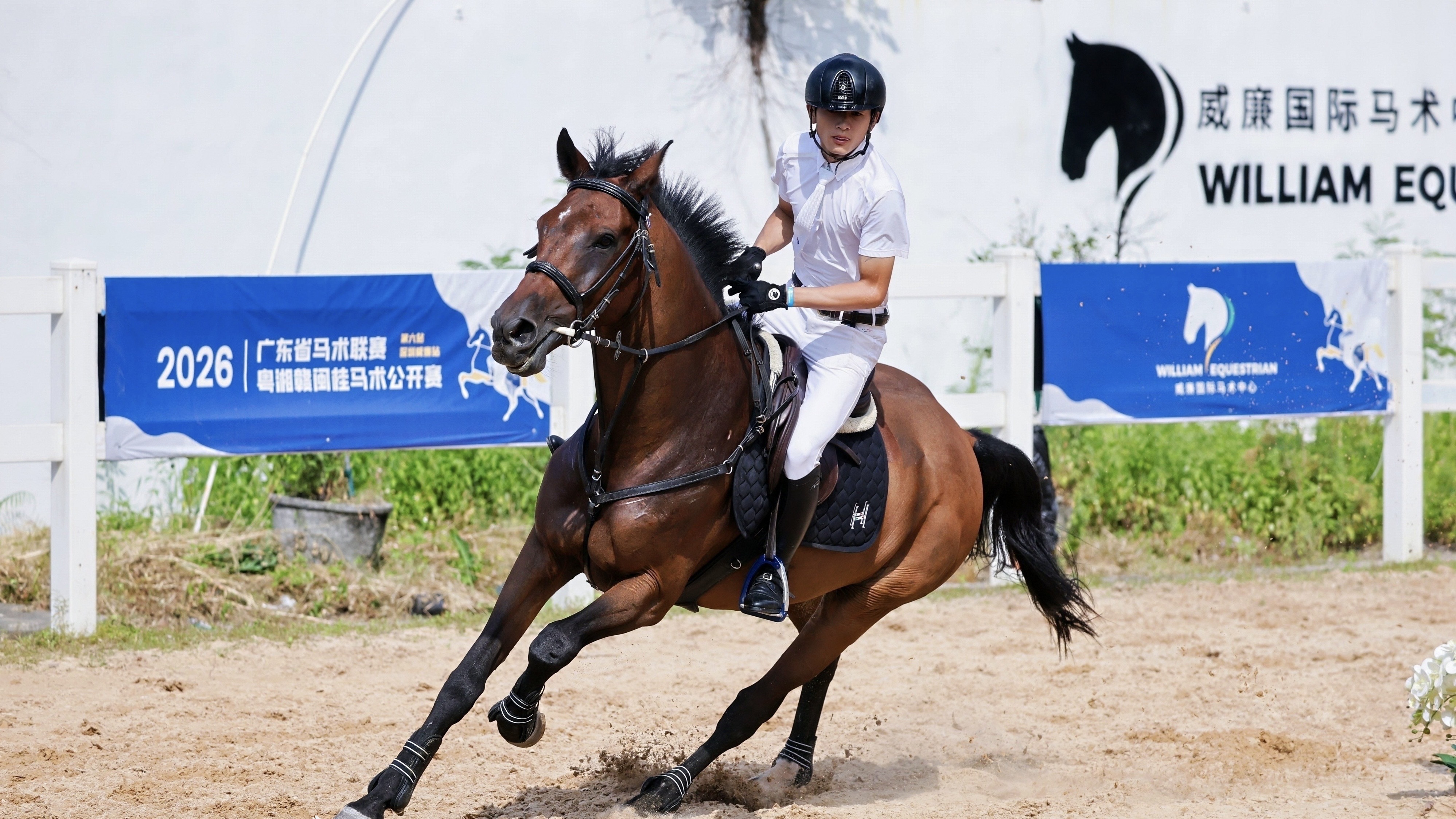 2026廣東省馬術聯賽暨粵湘贛閩桂馬術公開賽（深圳威廉站）正式啟幕