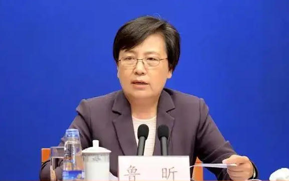 教育部原黨組成員、副部長魯昕被查