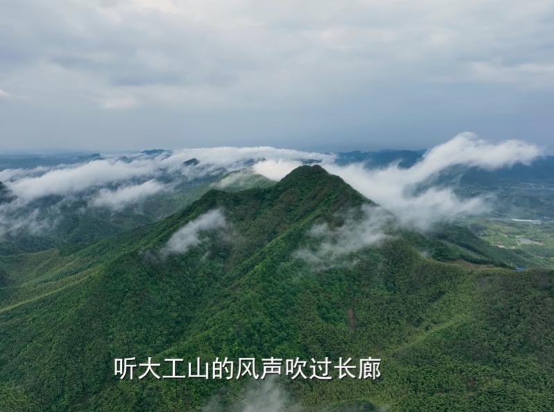 一曲《富氧之南》唱響皖南 南陵生態產業雙向賦能
