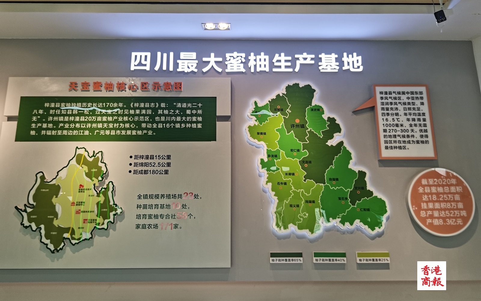港媒看四川鄉村振興丨梓潼：「天寶蜜柚博覽園」凝心聚力創建國家級現代化農業園區