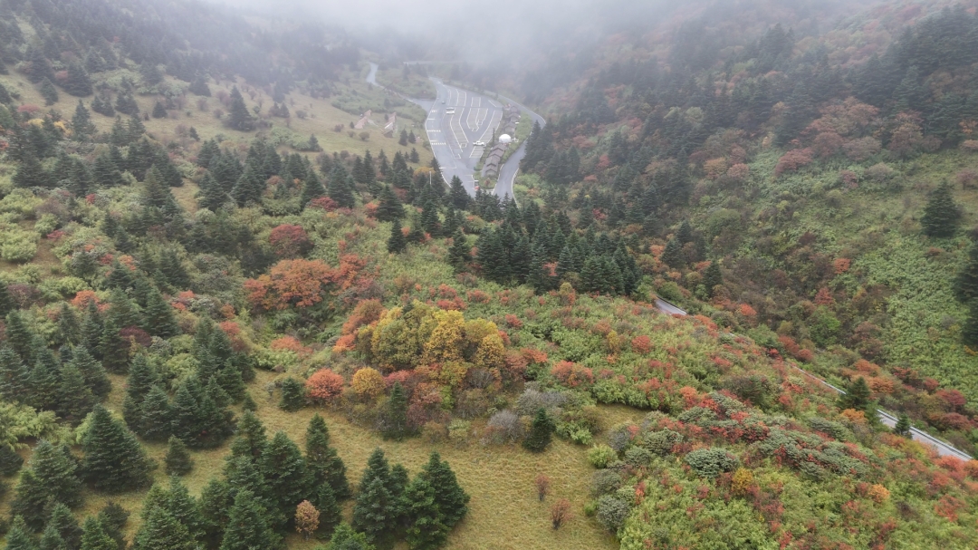 霧鎖青山染秋色 水墨神農頂盡顯秋日詩意