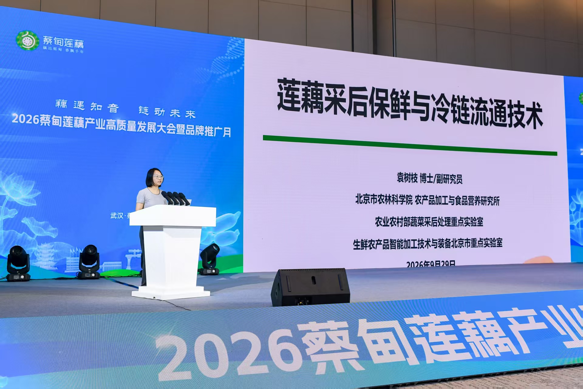 2026蔡甸蓮藕產業高質量發展大會暨品牌推廣月正式啟幕